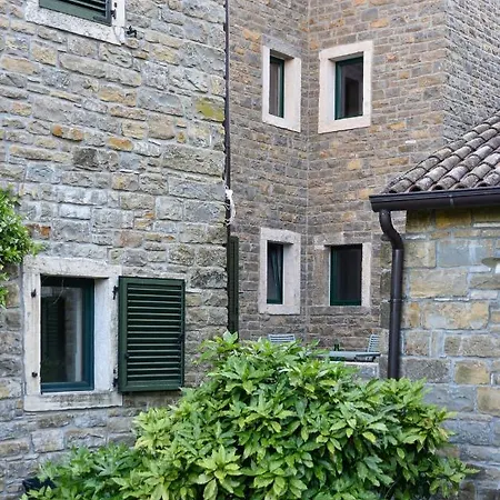 L'abbraccio Della Quercia - Buje