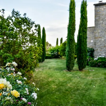 L'abbraccio Della Quercia - Buje