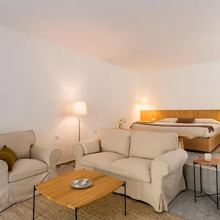 L'abbraccio Della Quercia - Buje