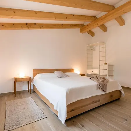 L'abbraccio Della Quercia - Buje