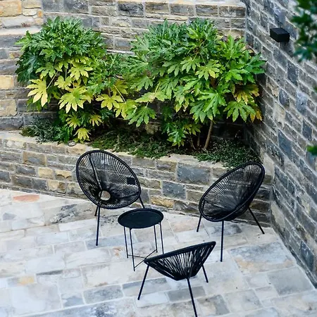 L'abbraccio Della Quercia - Buje