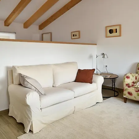 L'abbraccio Della Quercia -