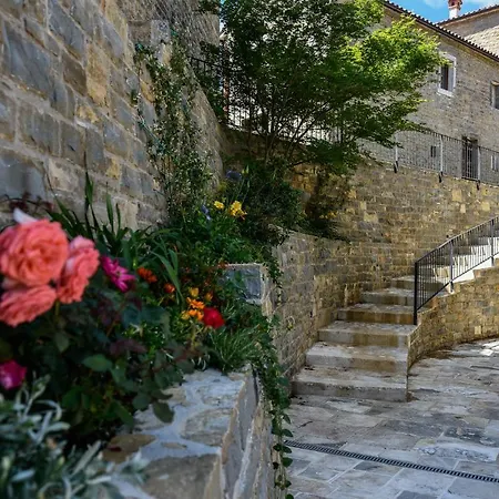 L'abbraccio Della Quercia - Buje