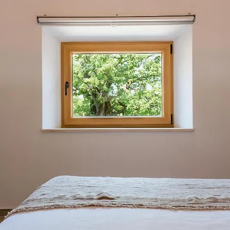 L'abbraccio Della Quercia -