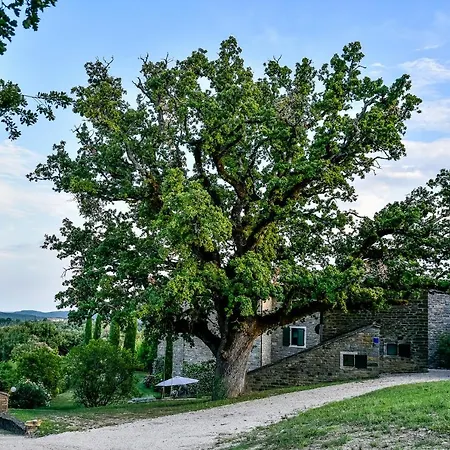Frühstückspension L'abbraccio Della Quercia -