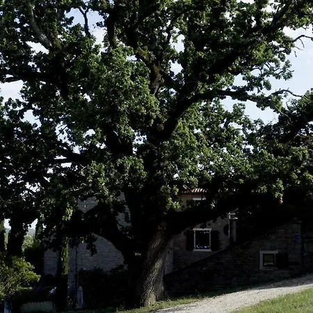 Bed & Breakfast Adq Abbraccio Della Quercia Buje