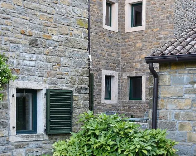 L'abbraccio Della Quercia - Buje