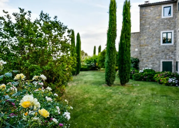 L'abbraccio Della Quercia - Buje