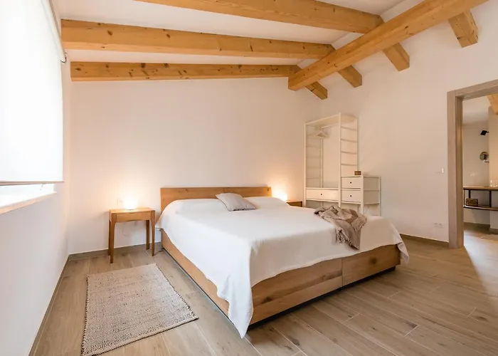 L'abbraccio Della Quercia - Buje