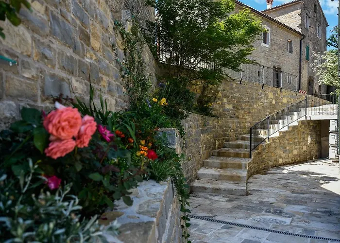 L'abbraccio Della Quercia - Buje