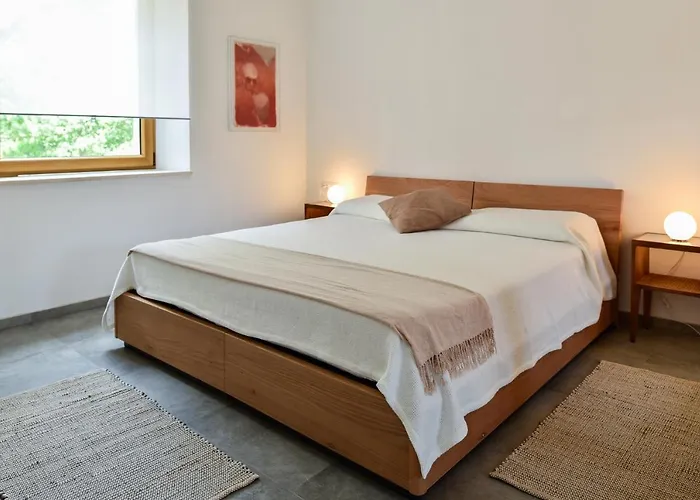 L'abbraccio Della Quercia - 4*