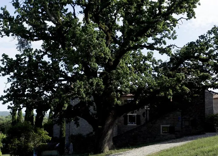 Bed & Breakfast L'abbraccio Della Quercia - Buje