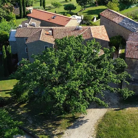 L'abbraccio Della Quercia - فندق مبيت وإفطار 4*