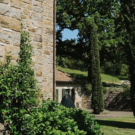 L'abbraccio Della Quercia - Bed & Breakfast Buje
