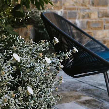 Bed & Breakfast L'abbraccio Della Quercia - 4*