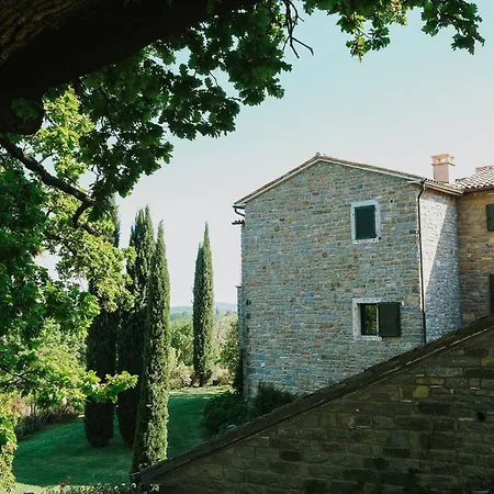 L'abbraccio Della Quercia -