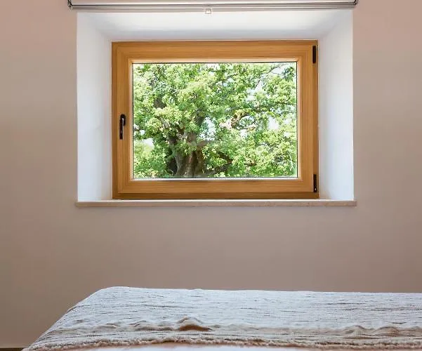 L'abbraccio Della Quercia -