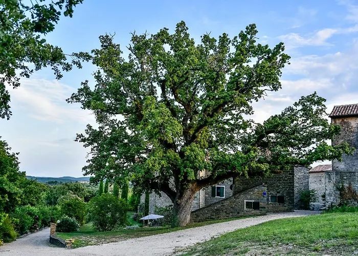 B&B L'abbraccio Della Quercia -