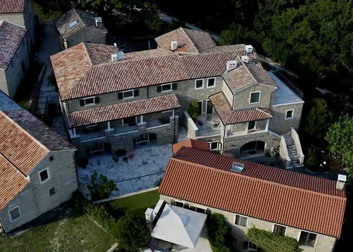 L'abbraccio Della Quercia - 4*